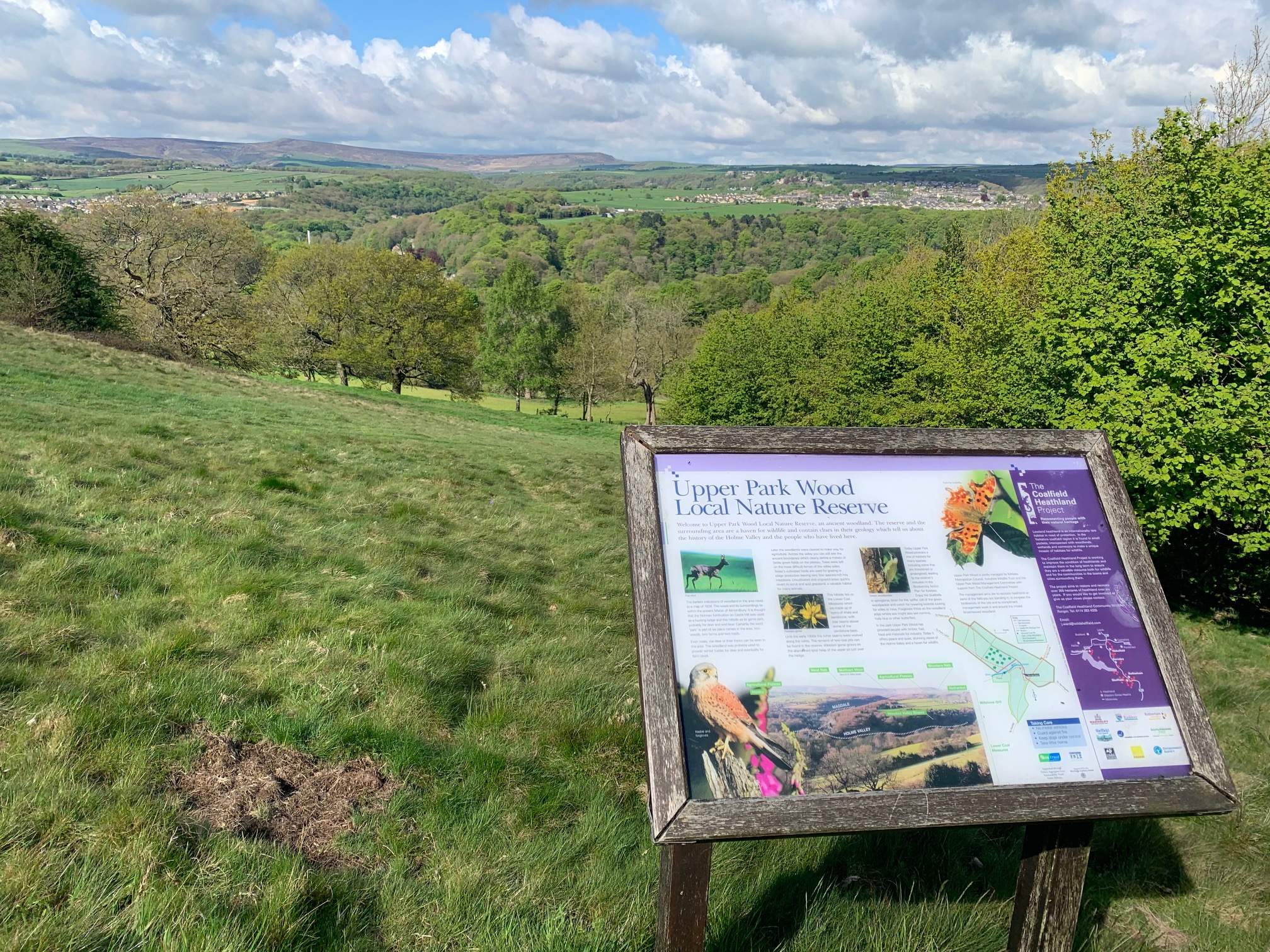 Seat with a view over Holme Valley Castle Hill walk by Sandie Nicholson