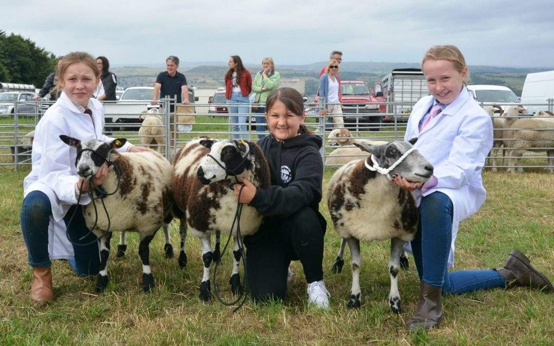 Record Crowds at Honley Show 2022